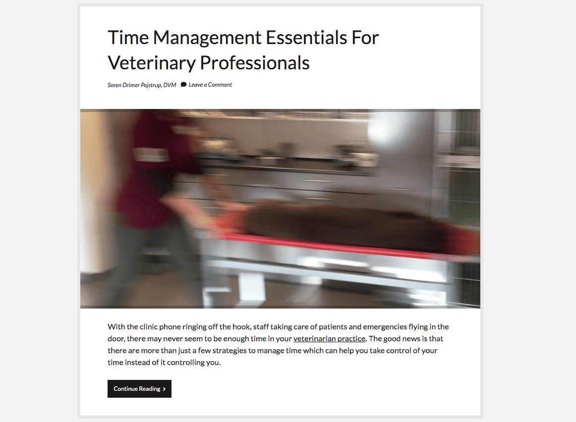 Blog targeting high earning veterinary professionals